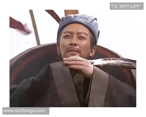 卧龙凤雏齐聚一堂英雄豪杰共谋天下大计